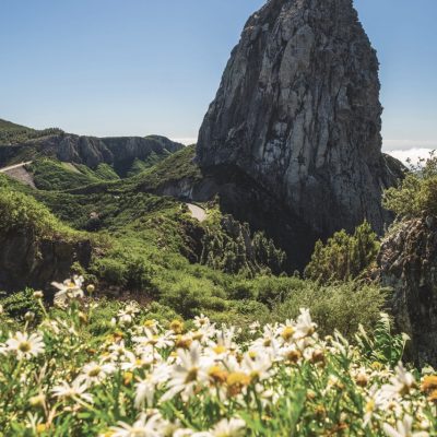 06-LaGomera062-Groot