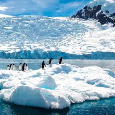 11-dagen-great-white-continent-cruise-antarctica-seabourn-2-scaled