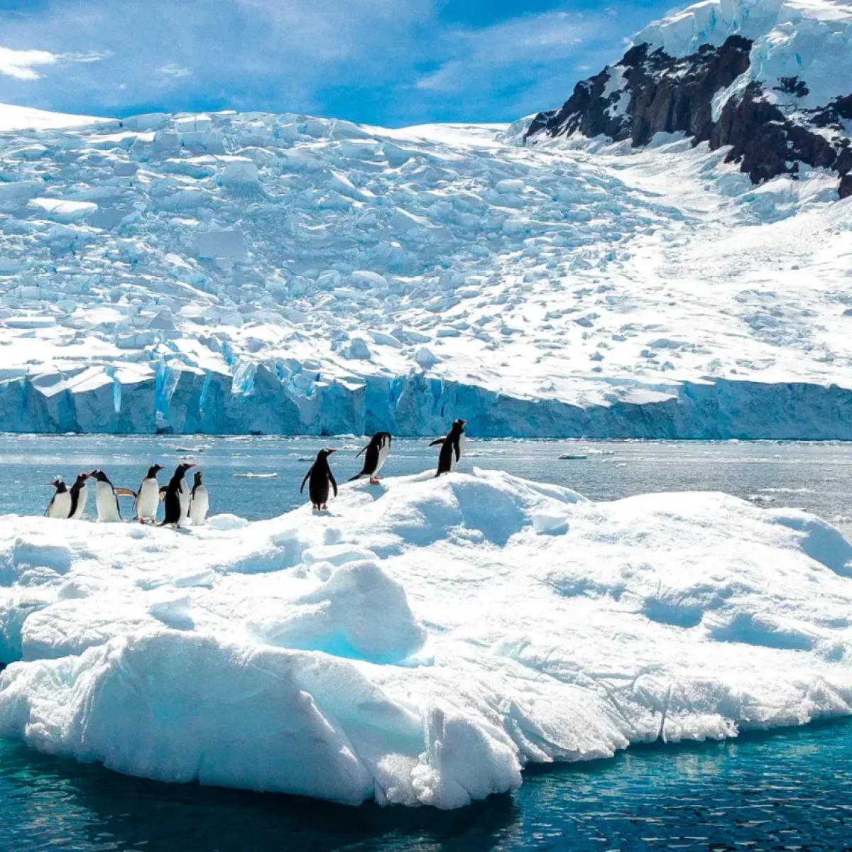 11-dagen-great-white-continent-cruise-antarctica-seabourn-2-scaled