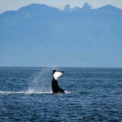 12-13-NAAR-OpVakantie-voorjaar-2026-ED20_page_12_item_4