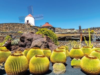 34-35-Holland-America-Line-OpVakantie-voorjaar-2026-ED20_page_34_item_10