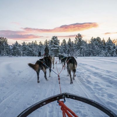 4x-wintercruises-lapland-botnische-zee-zee-ijs-poollicht-scandinavische-winter-vanuit-hamburg-10