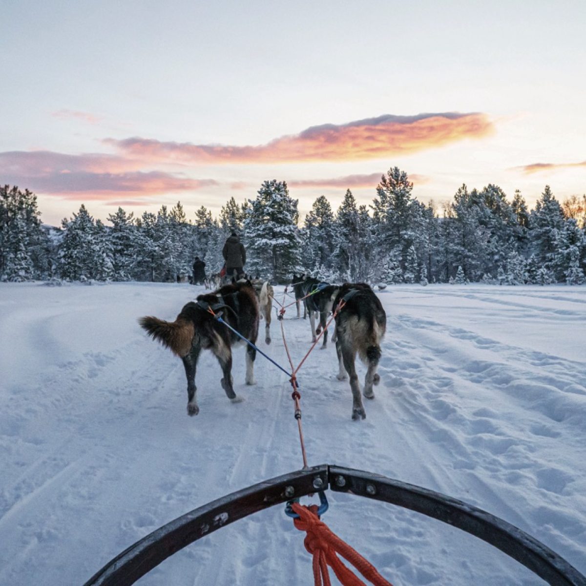 4x-wintercruises-lapland-botnische-zee-zee-ijs-poollicht-scandinavische-winter-vanuit-hamburg-10
