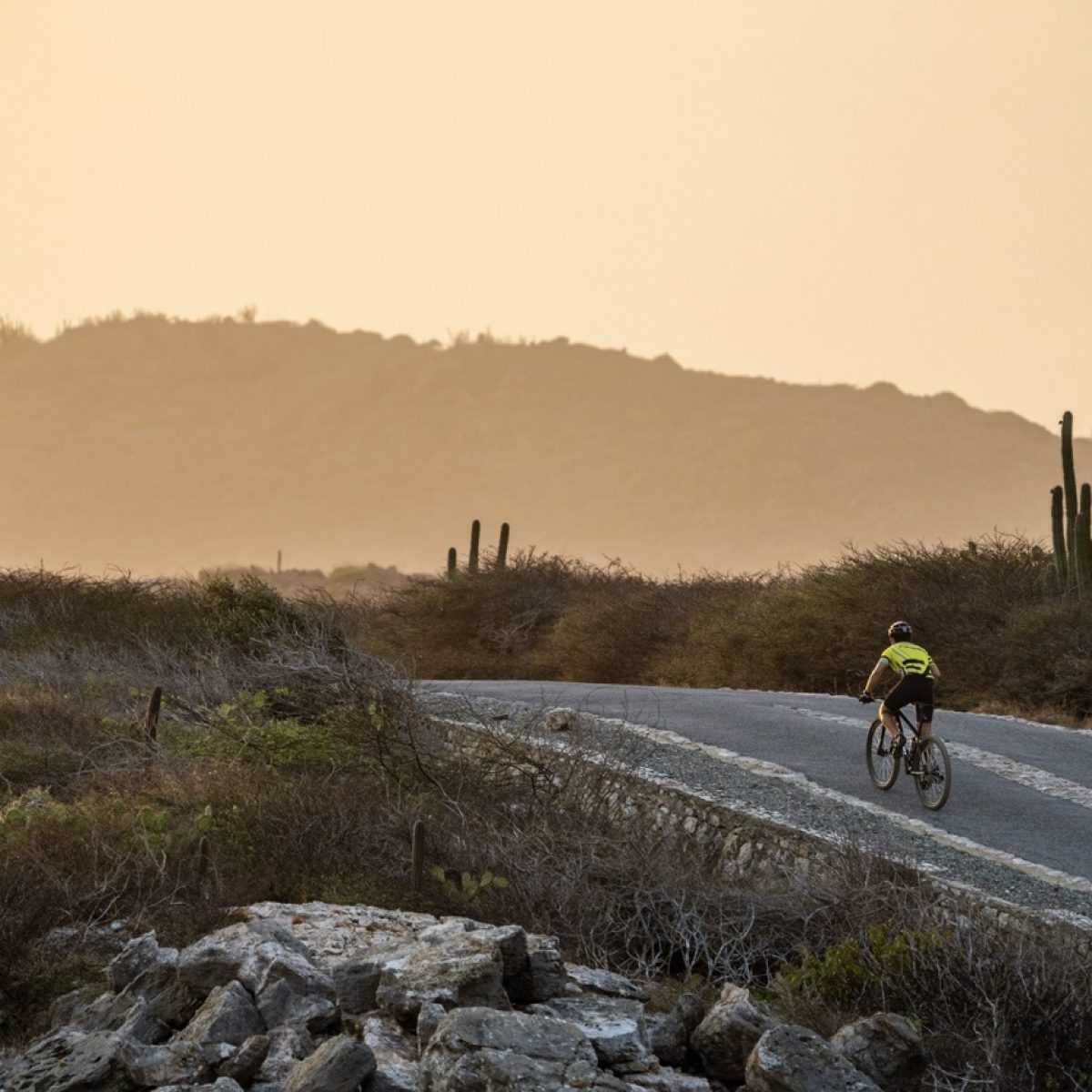 Aruba-Nature-Groot