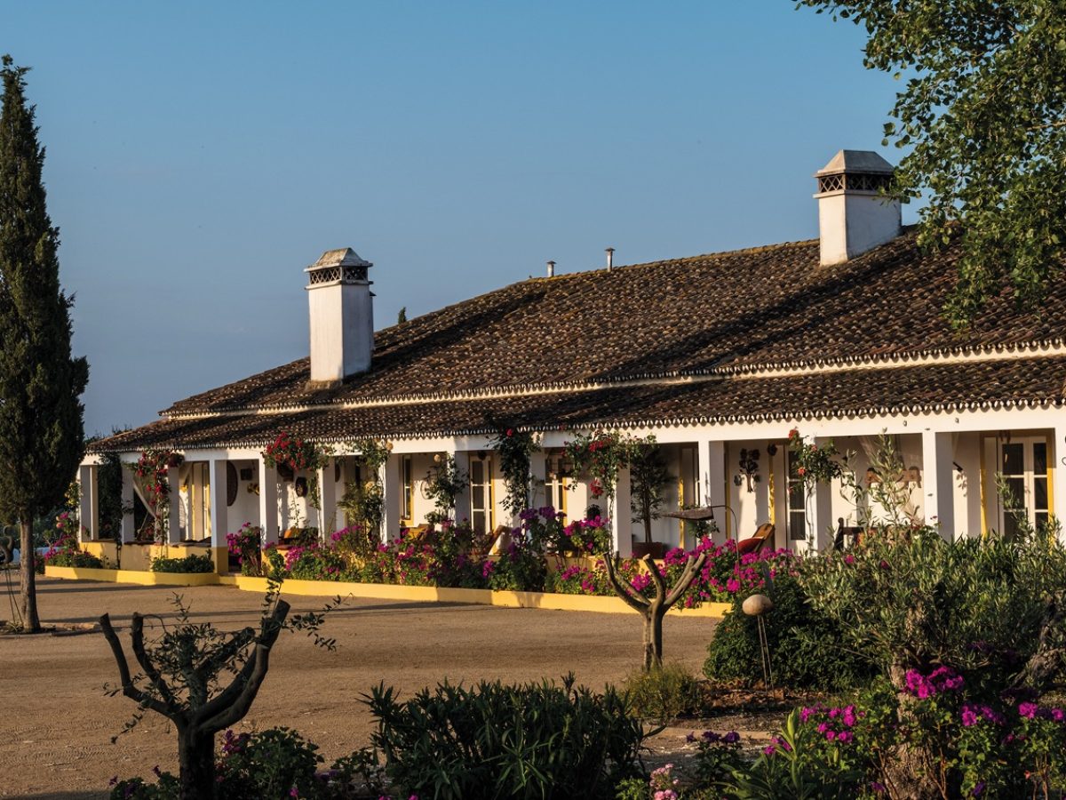 Herdade-do-Sobroso-b-groot