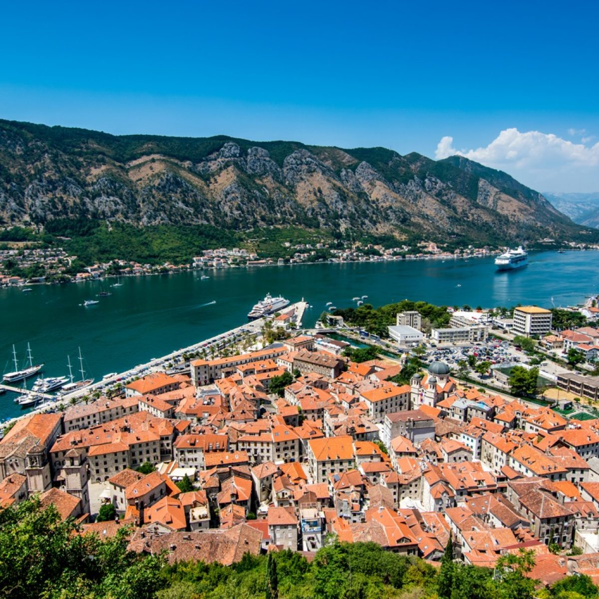 Kotor groot