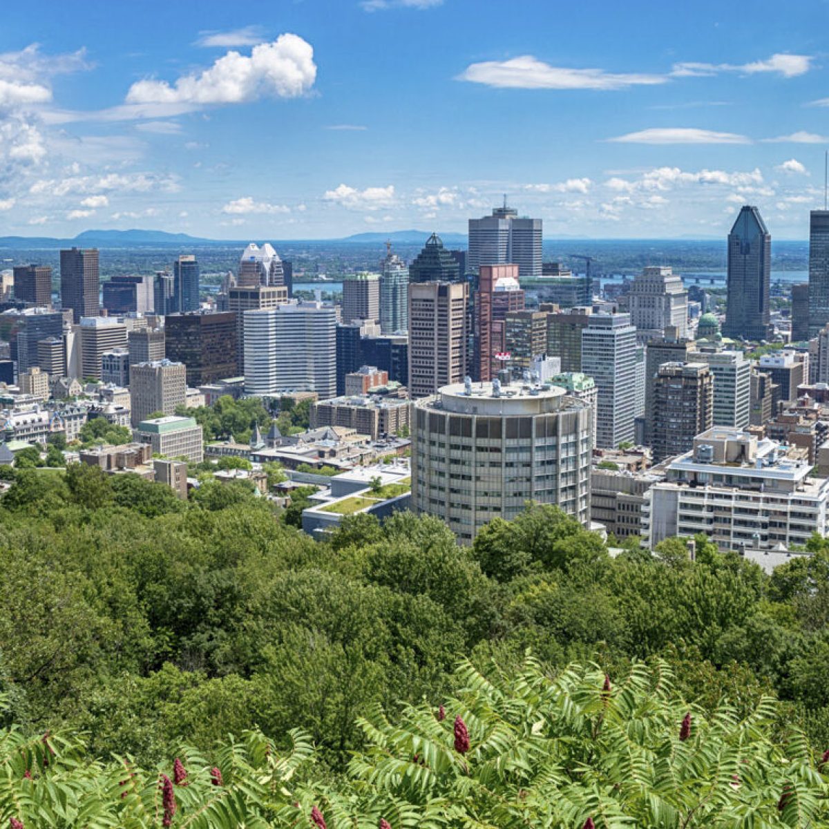 View of Montreal city in Canada