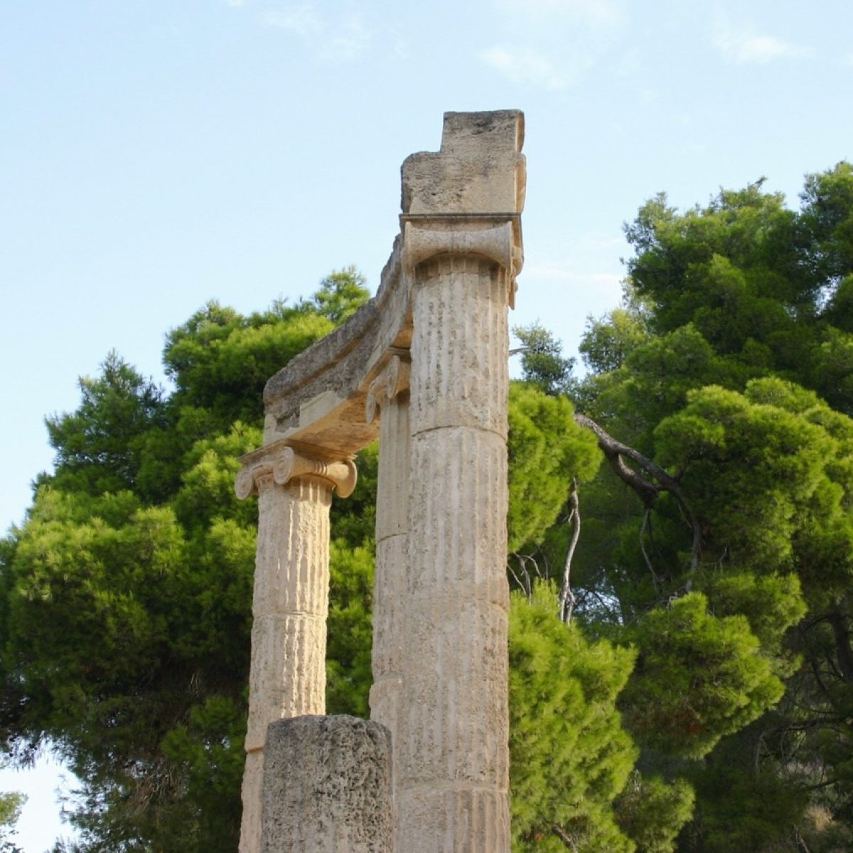 Olympia groot