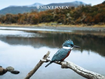 Silversea-The-Cormorant-at-55-South-in-Puerto-Williams-01