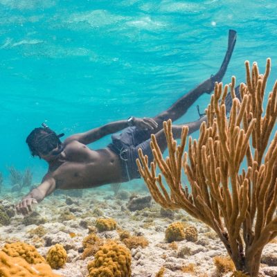 Snorkeling-at-Mangel-Halto-Groot
