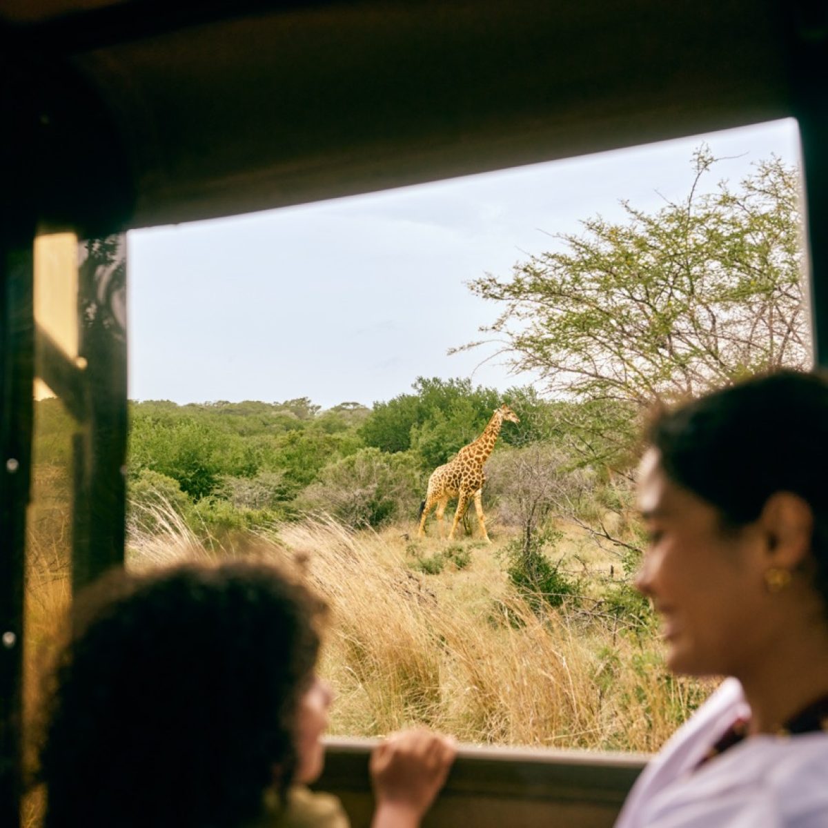 SouthAfrica_BeachSafari_5-groot