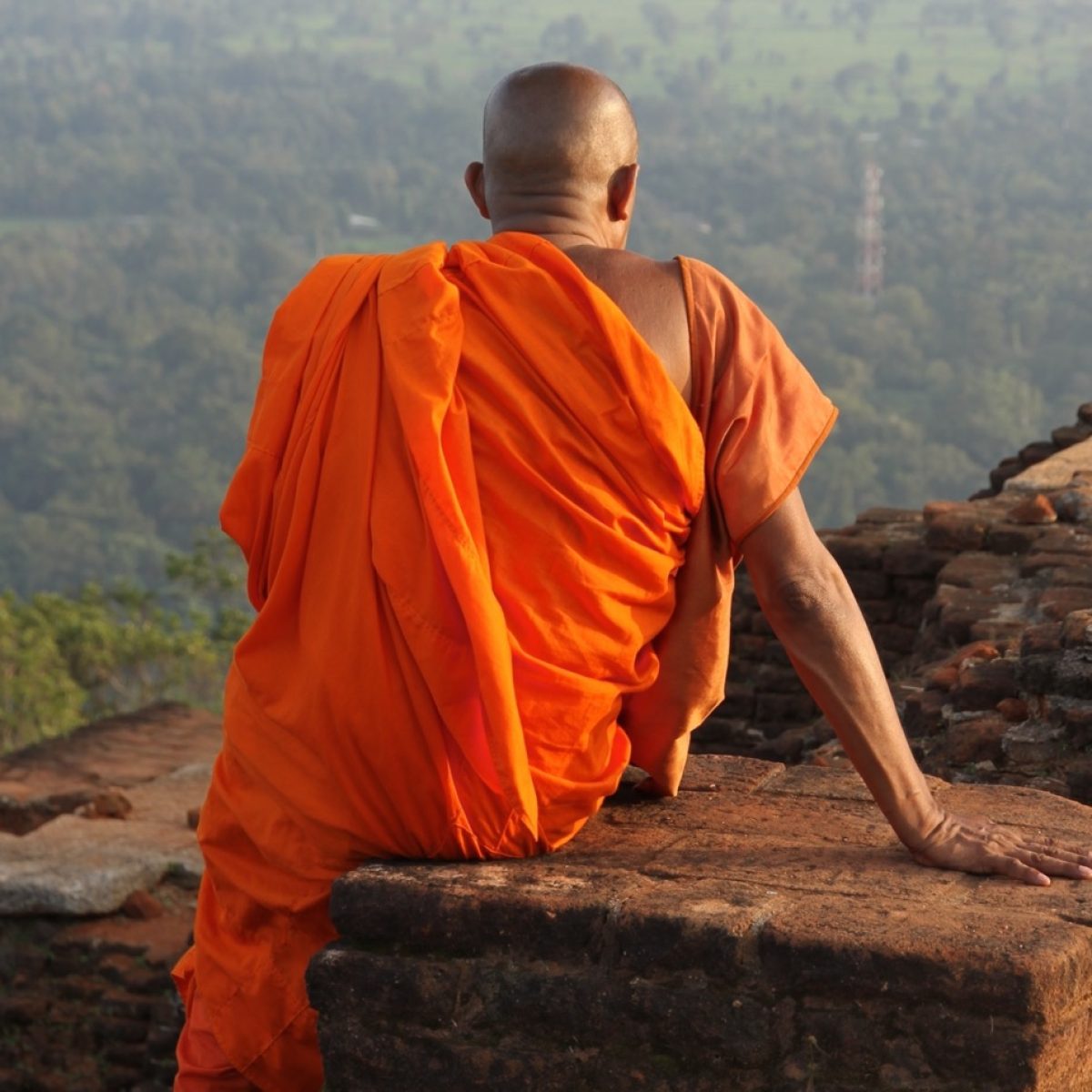 Sri-Lanka-Dambull-Groot