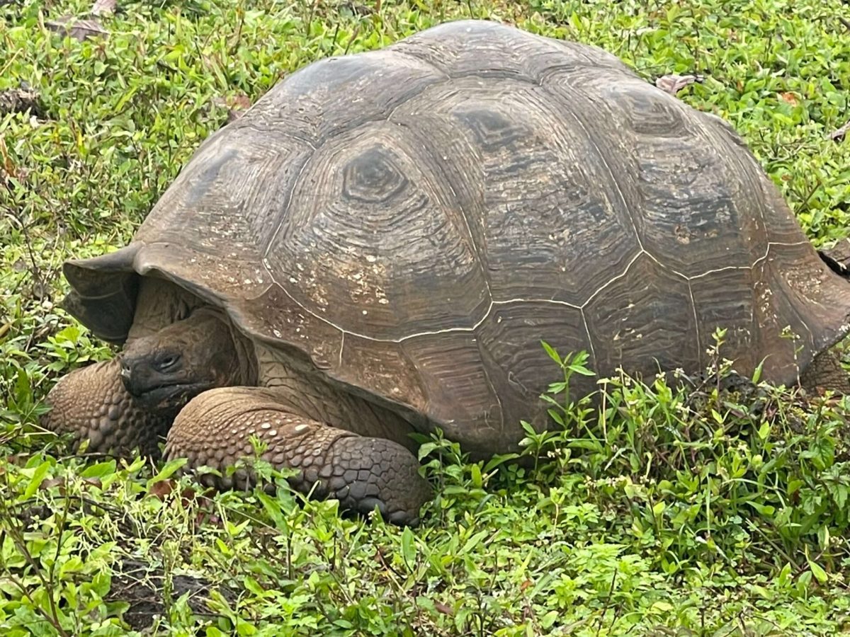 image00010-scaled