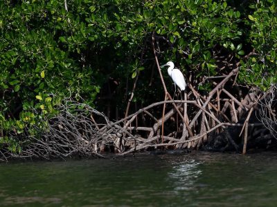 kimberley-full-Groot-08