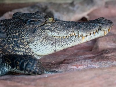 kimberley-full-Groot-11