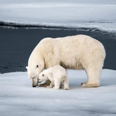 ponant-arctic-002-1536x1024