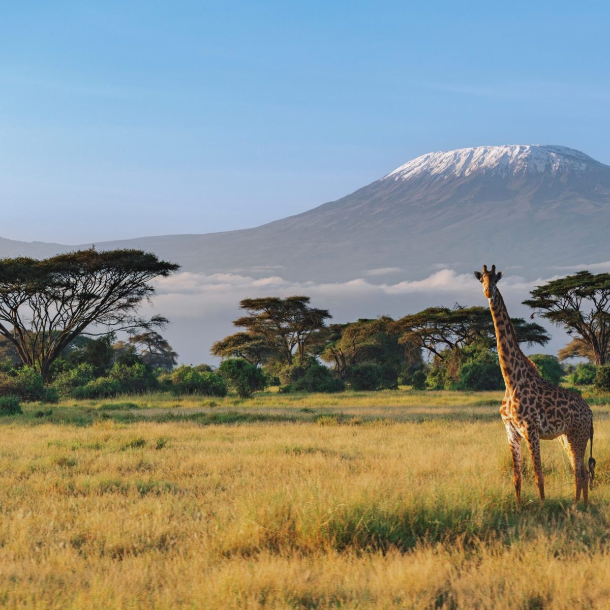 shutterstock_2556734167-scaled