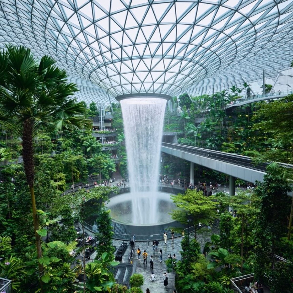singapore13-Groot