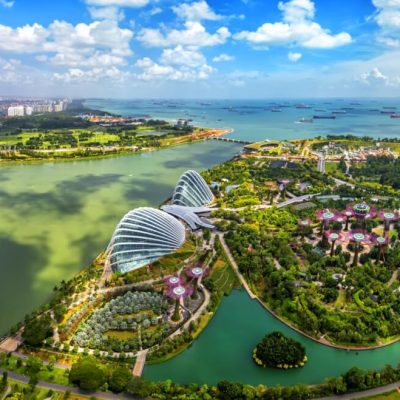 singapore6-Groot