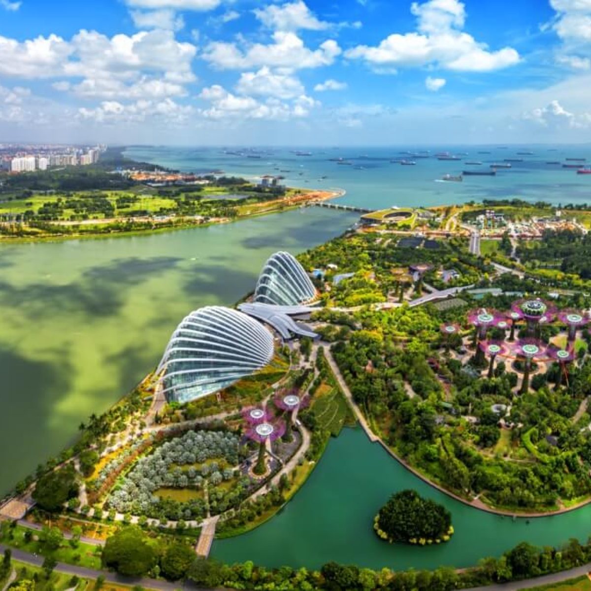 singapore6-Groot