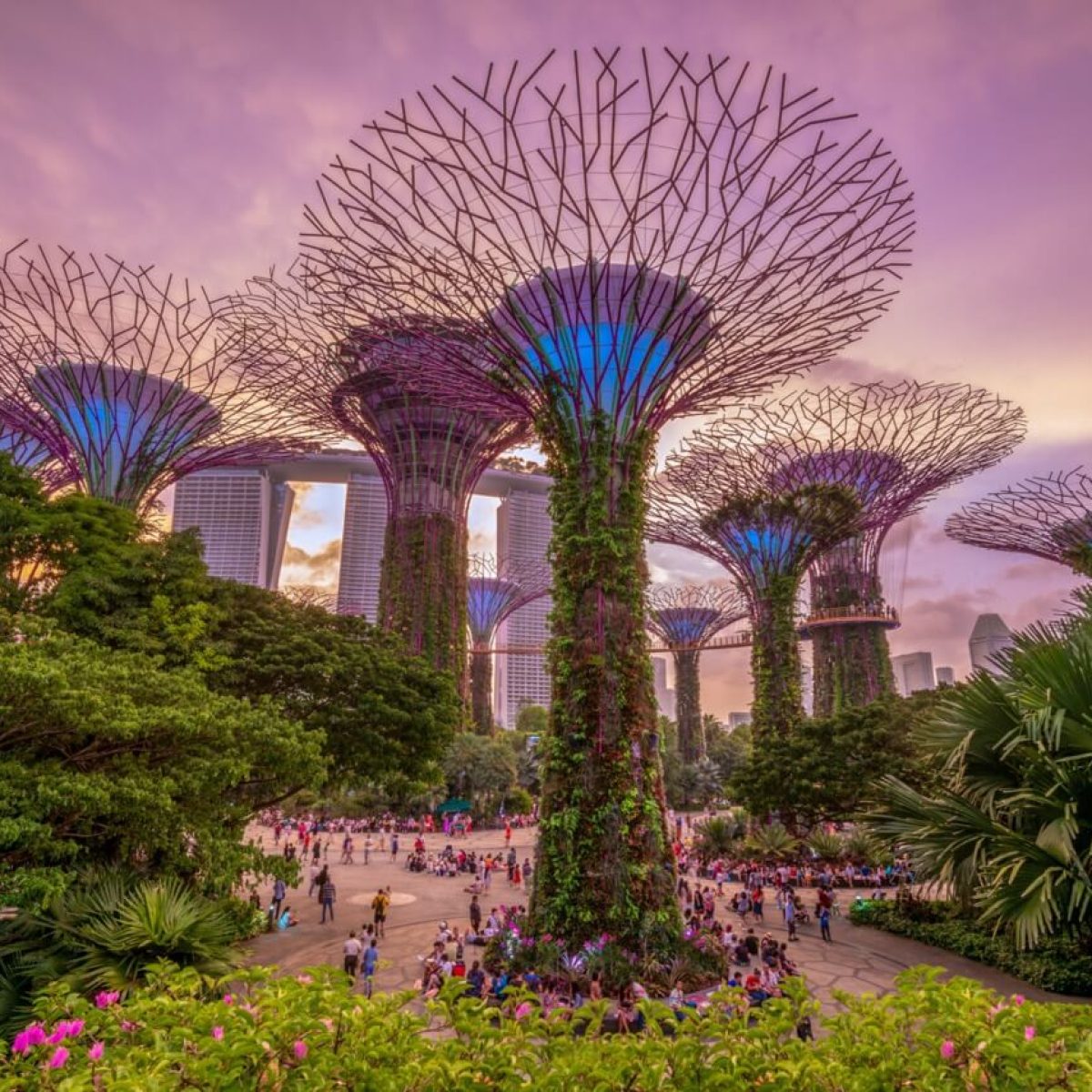 singapore8 Groot