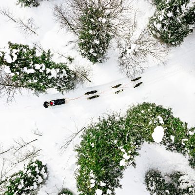 sky-view-villa-avonturenweek-huskys-natuur-1