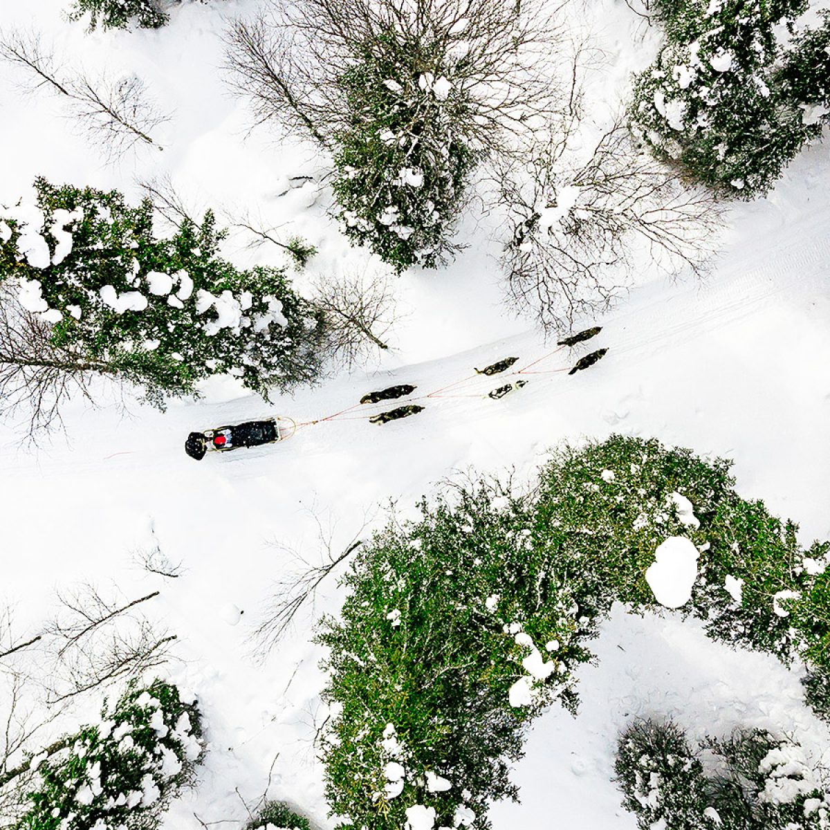 sky-view-villa-avonturenweek-huskys-natuur-1