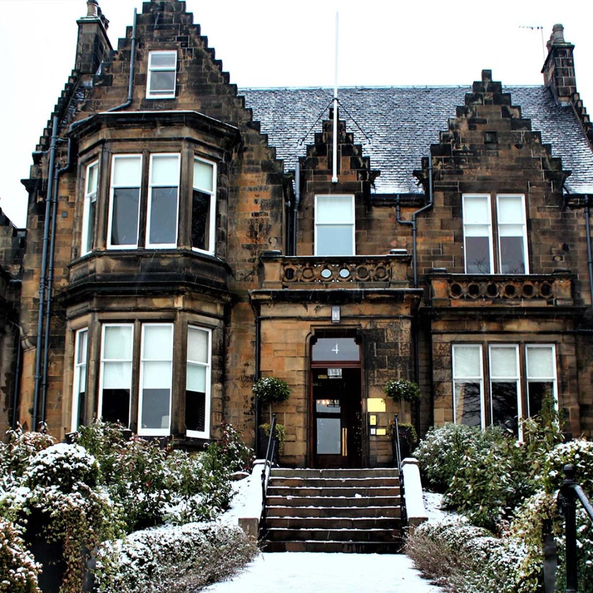 snow-view-reading